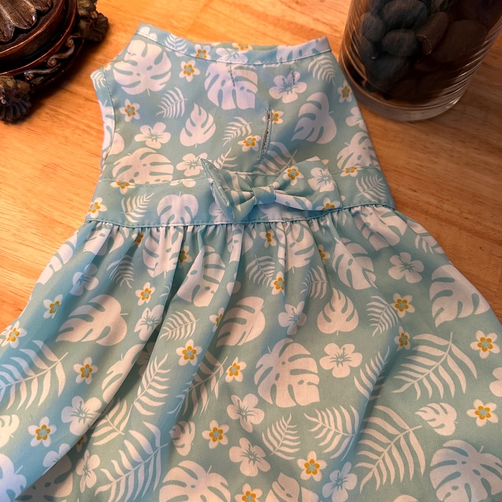 Female dog dress